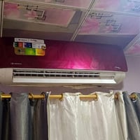 سبلت • طنين • شغال