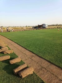 زبائننا الكرام ترحب بكم #شركة_الوسيم_لتجهيز_الثيل_الطبيعي #الاول والاك...