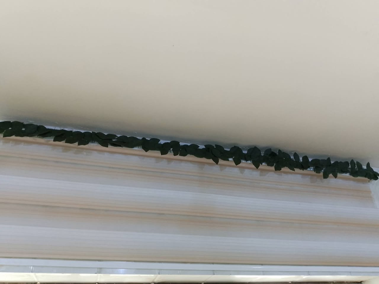 برده سحب 3في3 جديد للبيع 30


**إذا كنت صاحب هذا الإعلان وتريد حذفه لأي سبب، رجاءا أرسل رسالة إلى الدعم الفني**