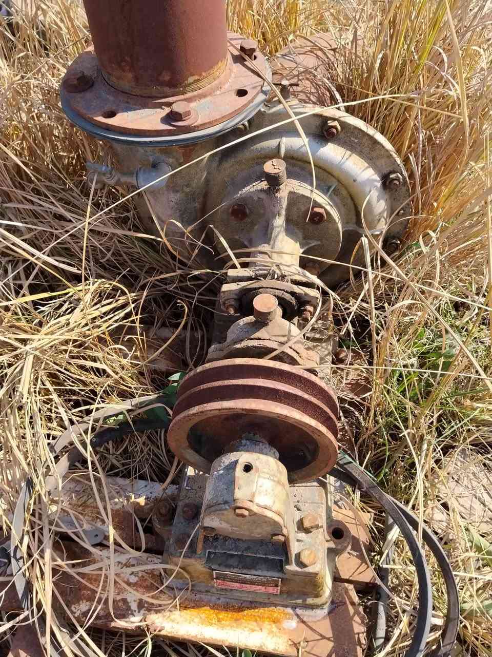 السلام عليكم غطاس ابو ال4انج للبيع مع خنزيرة ام الستة عدد 2 للبيع المكان بغداد ***********
