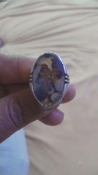 شجري • للبيع • خاص