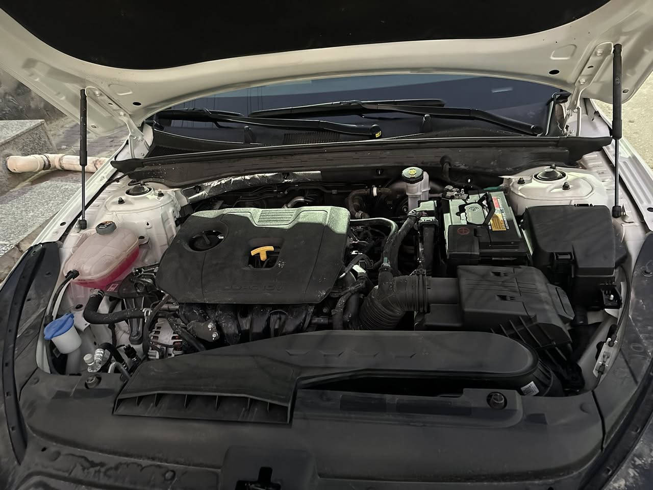 كيا 5 موديل 2023 قرار معوقين مكفوله كفاله عامه السعر 185$ +خليجي+***********
