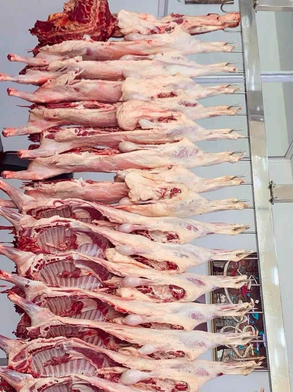 🔥 إلى أهالي الغزالية الكرام 🔥
إذا تدورون الطعم الأصلي والسعر المناسب… فـ الحل عند أجنحة ومشويات العسافي 😍🍗🔥

📢 توصيل مجاني لجميع مناطق الغزالية 🎁

✨ أسعارنا المميزة:

🍢 كيلو كباب لحم — 25 ألف
🍗 كيلو كباب دجاج — 16 ألف
🔥 كيلو نكة دجاج — 20 ألف
🍗 كيلو أجنحة — 20 ألف

🥩 نفر بيض غنم (4 شيش) — 15 ألف
🍢 نفر لية (4 شيش) — 15 ألف
🌯 نفر عرايس — 15 ألف

🍖 نفر قوزي لحم — 25 ألف
🥩 نفر معلاك غنم — 25 ألف
🍖 نفر ضلوع (5 قطع) — 25 ألف
🍗 نفر دجاج مسحب كامل — 25 ألف
🍗 نصف نفر دجاج مسحب — 15 ألف

🔥 دجاجة شوي مع التمن والمرق بأنواعه — 12 ألف فقط 😍

🎁 جميع الوجبات والمشويات تُقدم مجاناً مع:
خبز حار • مقبلات • شوربة • سلطة • طماطة شوي

📞 للاتصال والواتساب:
***********

أجنحة ومشويات العسافي
طعم أصيل وجودة لا تُعلى عليها

:::
