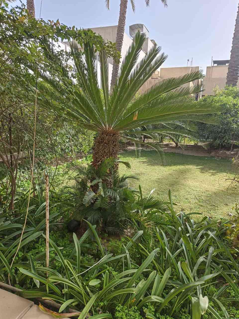 سايكسة حجم كبير  للبيع مع فسايل مكاني بغداد ***********
