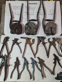 ألماني • أصلي