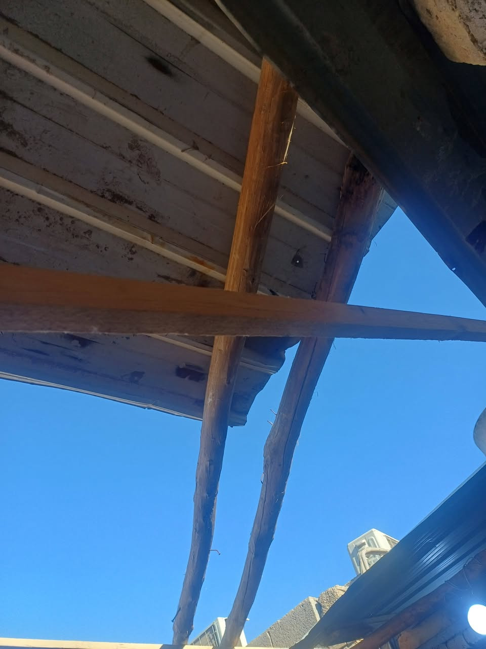 سلام عليكم شبجه وعمدان ٢ ابو الربعه وجينكوه ٣ متر وهاذا رقمي ***********
