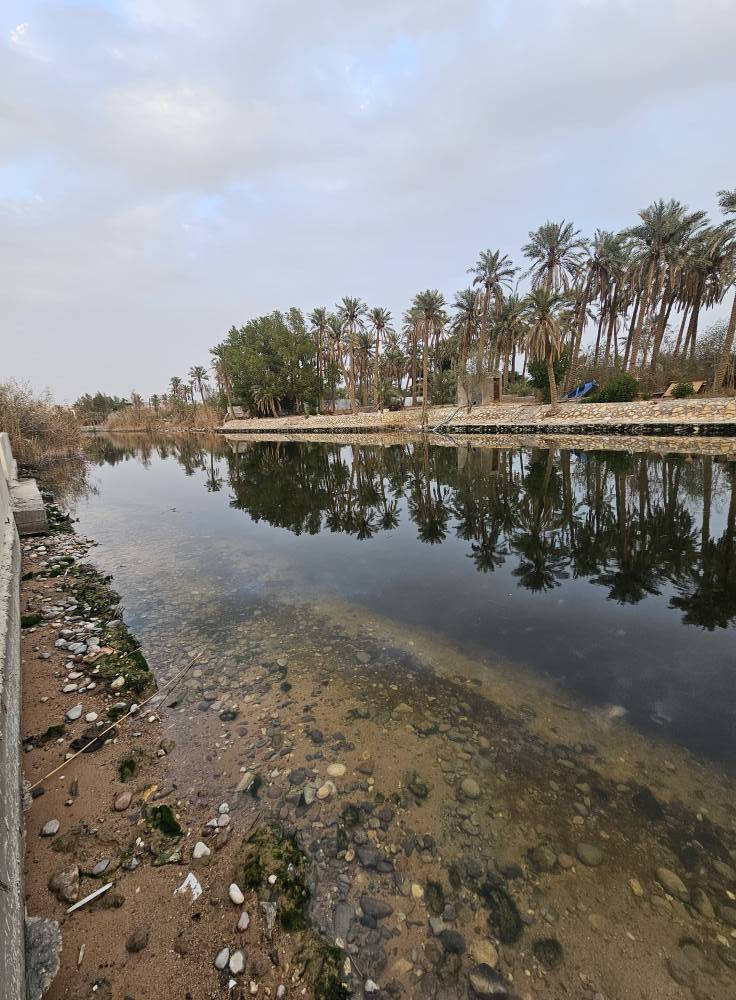 دونمين للبيع – موقع مميز على شط حمدان مباشرة
📍 الموقع: البصرة / أبي الخصيب / حمدان
📐 المساحة: دونمين
📄 الملكية: طابو صرف (سهم)
🔄 التحويل: مباشر باسم المشتري
✨ مواصفات العقار:
إطلالة مباشرة وجميلة على شط حمدان
أرض فارغة وجاهزة للبناء
موقع هادئ ومرغوب
قريب من الخدمات الأساسية
🏡 مناسب جدًا للسكن أو للاستثمار (سكني / مشاريع استثمارية)
📞 للاستفسار والاتصال:
*********** البصرة, العراق
