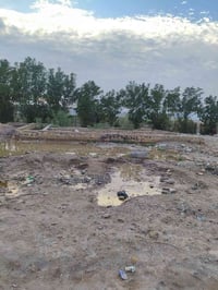 قطعة زراعية • ٢٧٥م • خلف المخازن