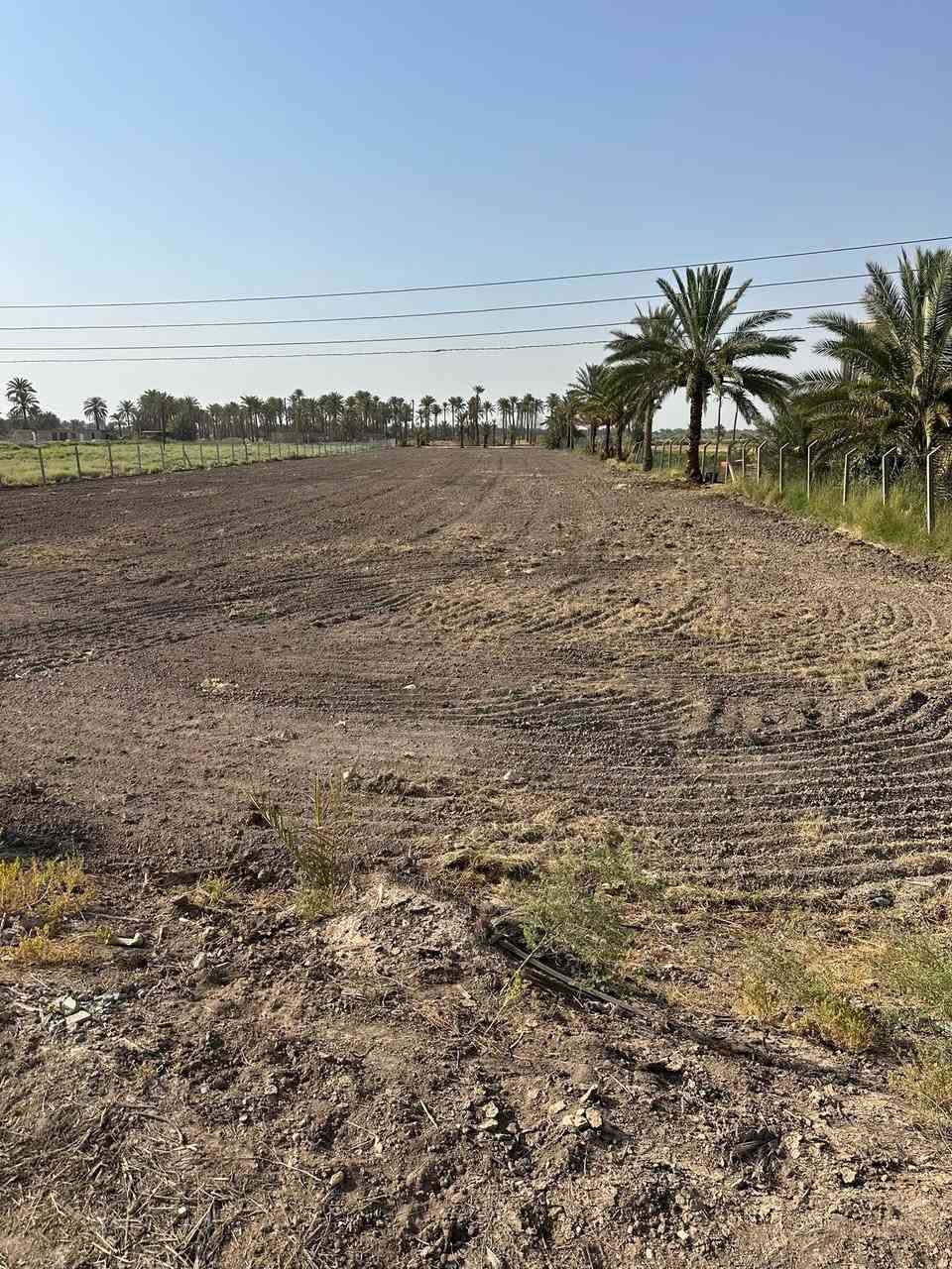 السلام عليكم…أرض زراعيه للبيع سند25 ملك صرف….منطقة الشيتيه  تبعد عن الشارع العام حله بغداد…حوالي 2كيلوا… أرض جاهزه للزراعه او البناء… متوفر كافة الخدماء تبليط وكهرباء وماء أساله وماء نهر…موقع مميز
المساحه الكليه👈6650م
الواجهه👈35م
النزال👈190م
الأستفسار امجد العلواني للعقار (***********)حي17 قرب جامع رسول
