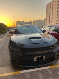 بنيد • دعاميات • بلادي SXT