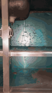 للبيع كاونتر نظيف 150. ميز طعام 100. مكان بغداد شعله ***********.
