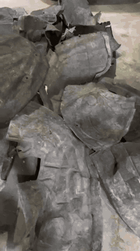 🚨 عرض خاص( 25 الف )فقط ! 🚨
💥 مختلف انواع بطاين جاملغات حصرا عند الحوت الامريكي لقطع غيار السيارات الامريكية الحديثة تجي وتاخذ بيدك القطعه التعجبك 💥

✅ جودة مضمونة
✅ سعر منافس

🧰 كما نوفر جميع قطع الغيار الأصلية للسيارات الأمريكية:
#GMC | #Tahoe | #Chevrolet | #Cadillac | #RAM | #Traverse | #Dodge | #Jeep | #Mopar

---

📞 للطلب أو الاستفسار:
📲 ***********
📲 ***********
(واتساب وماسنجر متاحان من الساعه 9صباحا الى 4 مسائا)

📍 العنوان:
بغداد – سريع الدورة،
قرب محطة لؤلؤة بغداد، 500 متر، الشارع الخدمي

🚚 توصيل سريع إلى جميع المحافظات – من بابنا إلى بابك!

---

🐋 الحوت الأمريكي – الأصل يبدأ من هنا
#GMC_2025 #قطع_غيار #دشبول #لوحة_عدادات #أمريكي_أصلي
