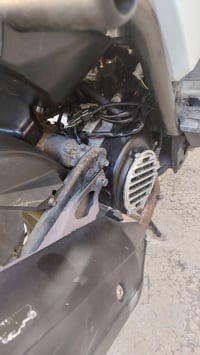 سكنس جبلي • دبلات • محسن