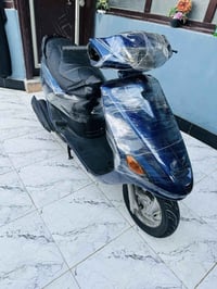 فراشة • زنون • نظيفه