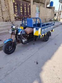 ستوته • موديل ١٣ • كوت فلاحيه