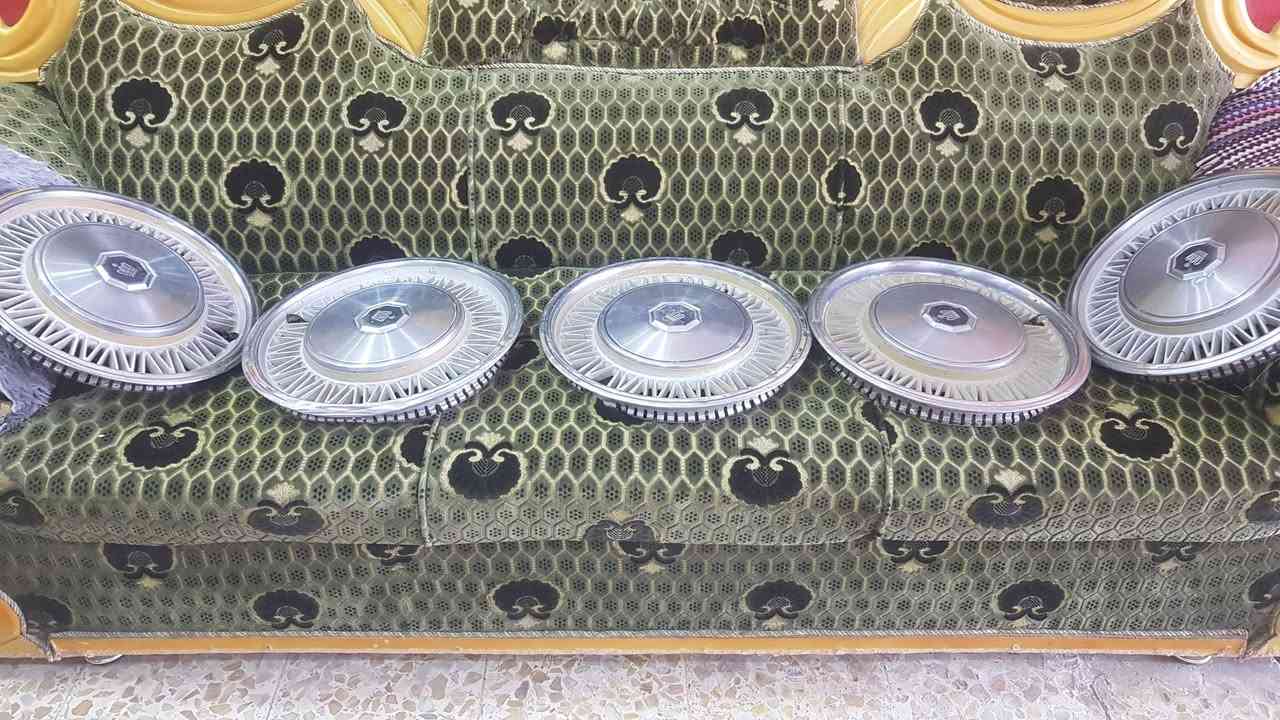 كبات سوبر82 تخم للبيع. ***********وات ساب
