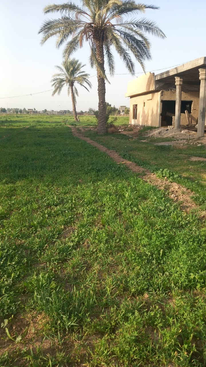 07803o50471


**إذا كنت صاحب هذا الإعلان وتريد حذفه لأي سبب، رجاءا أرسل رسالة إلى الدعم الفني**