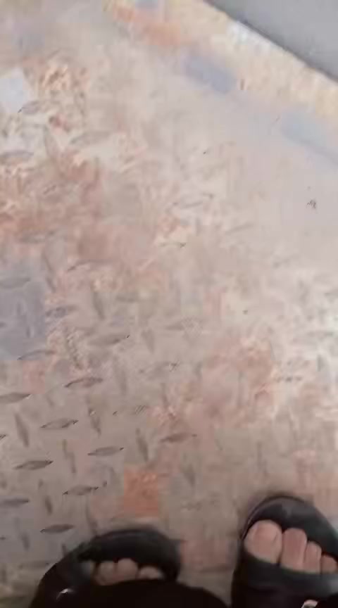 الزعفرانية شارع الكهرباء زراعي مال الشرطة‭٠٧٧٧ ٠٥٧ ٢٤١١‬
