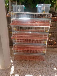 بطاريات سمان • ٤ طوابق • ماء وبيض اتوماتيك