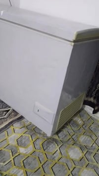 مجمدة • كونكورد • حجم كبير