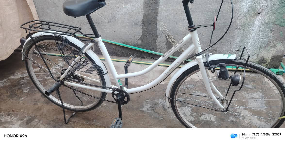 سلام عليكم باسكل البيع سعر٨٠
المكان كربلاء رقم الهاتف ***********
