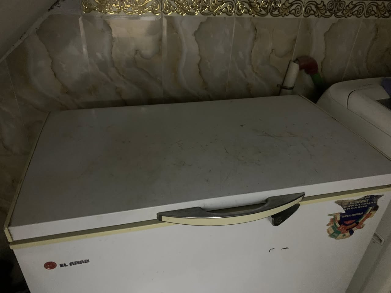 250 بيه مجال قليل مجمده دولفين بسعر


**إذا كنت صاحب هذا الإعلان وتريد حذفه لأي سبب، رجاءا أرسل رسالة إلى الدعم الفني**