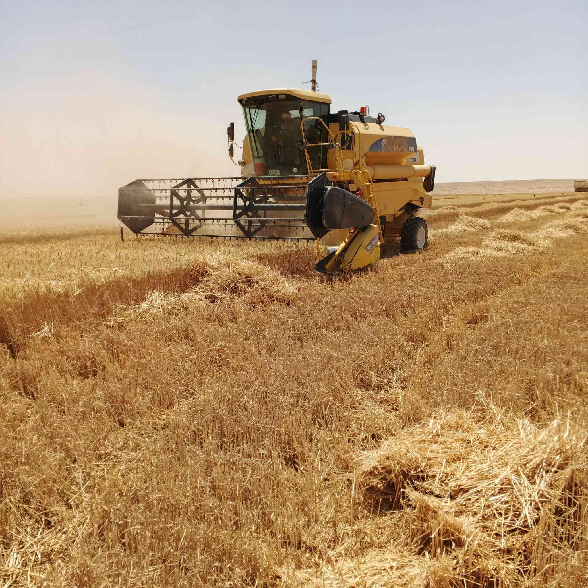 سلام عليكم ميكنه البيع موديل 2007 قايش
دكشن عالي بايزون مشتغله موسمين بل عراق مكينه نضيفه مكفوله كفاله عامه شرط الرقم ***********  رقم اربيل
