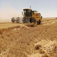 ميكنه البيع موديل 2007 قايش دكشن عالي بايزون مشتغله موسمين بل عراق مكي...