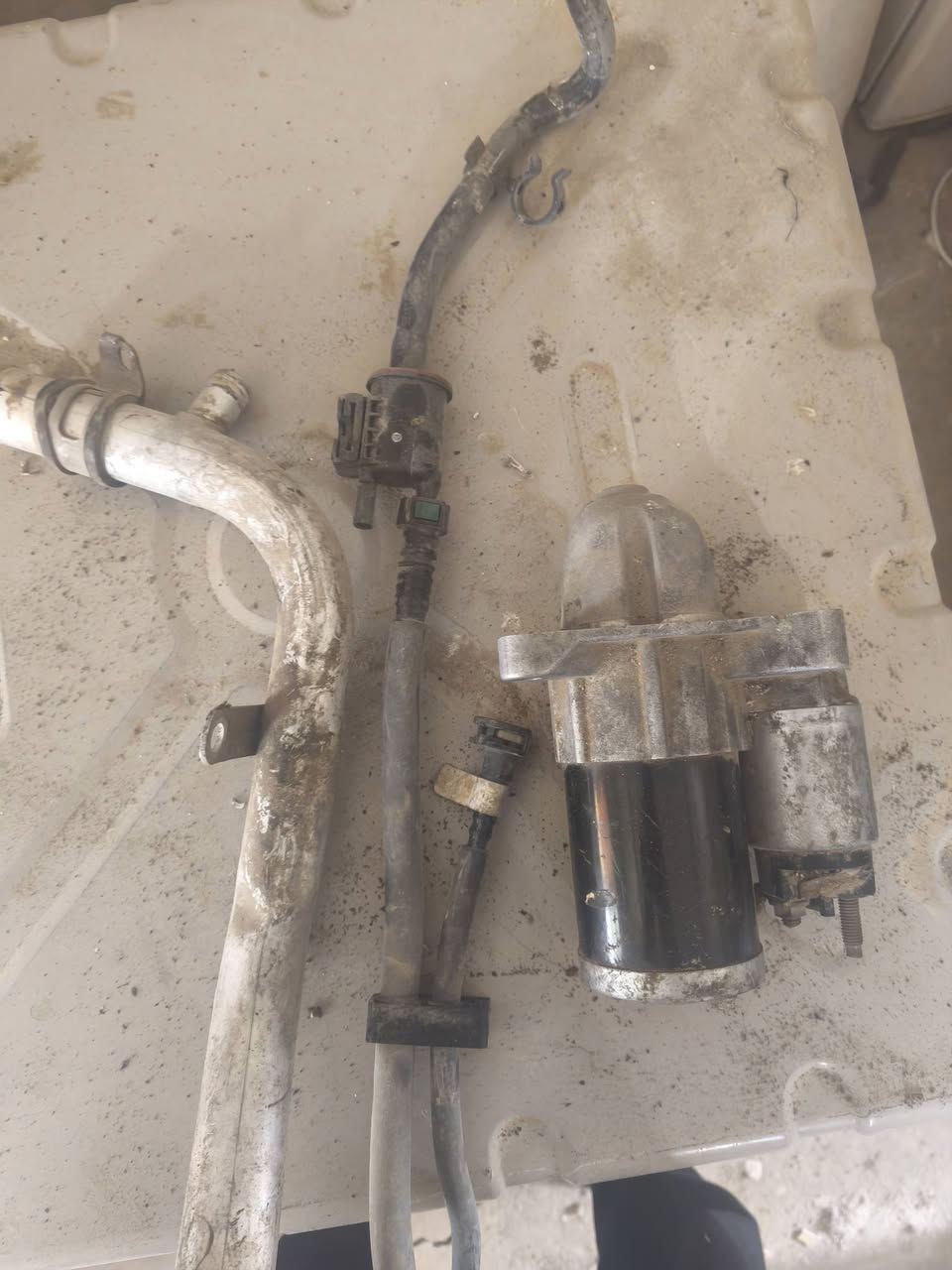 السلام عليكم اخوان عندي ذني الي يحتاج منهن شي نوازل كمبريسر دكشن جويتر سلف


**إذا كنت صاحب هذا الإعلان وتريد حذفه لأي سبب، رجاءا أرسل رسالة إلى الدعم الفني**