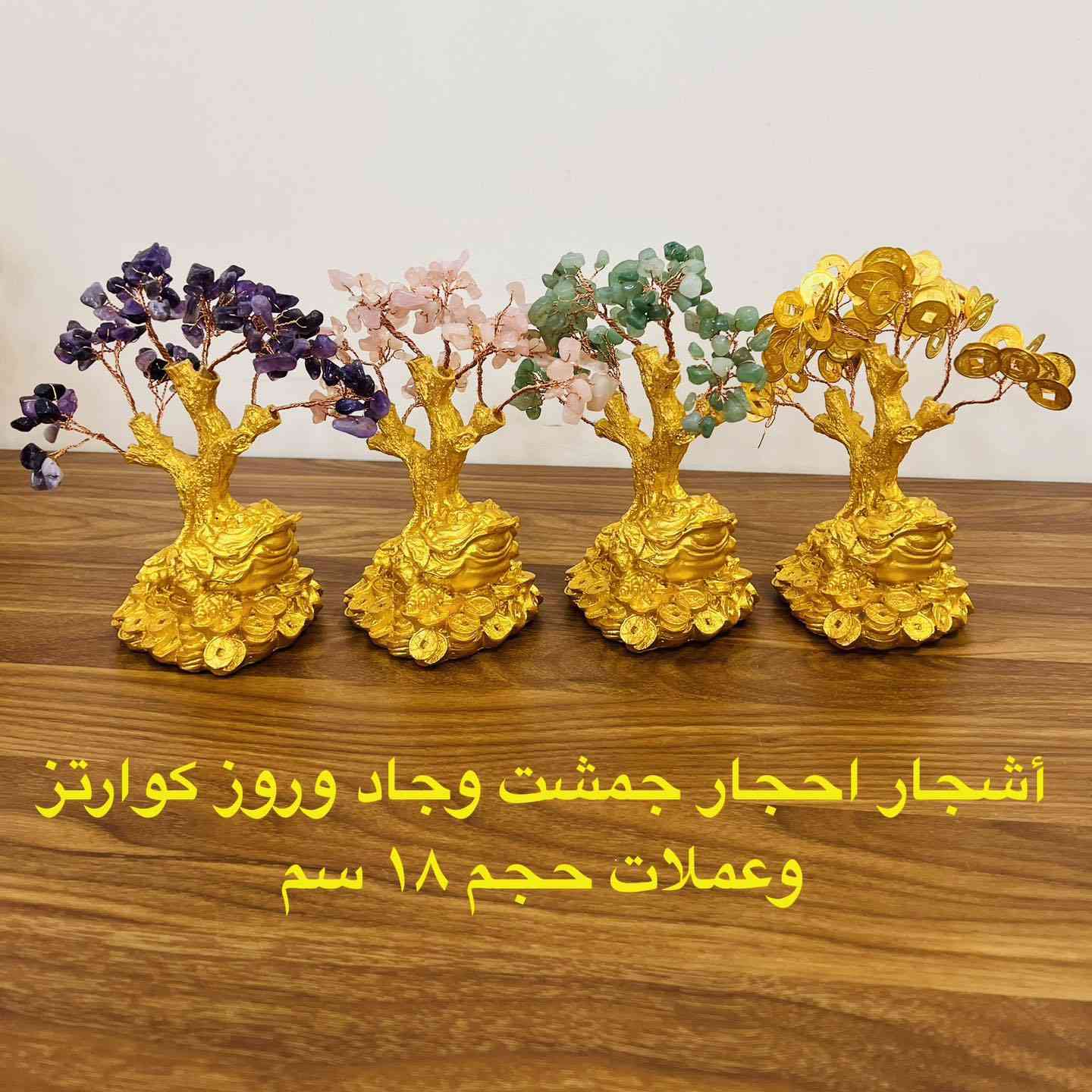 تخفيضات كبرى على بكجات الأشجار 
العرض لفترة محدودة 
للمزيد من المعلومات مراسلة الصفحة
او الاتصال وتساب ***********
توصيل كافة أنحاء العراق ٥ الاف
#روعة_الاحجار_الطبيعية
