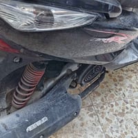 ثعلب 🦊مال رمبه صار اسبوع من منزله حته الكاتبه موجوده تجي تاخده من باب ...