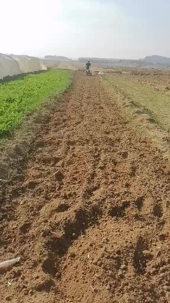 ٢كلا نيو  سعري بنزين لوك زور كةم ايش كةردوه ***********
