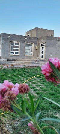 للبيع  دونم (2500) طابو زراعي سند 25   واجهة 59 نزال 44   حديقة 400 مع...