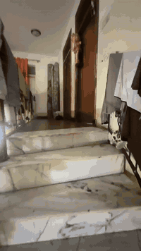 السلام عليكم بيت للبيع المساحه 230 م زراعي سند25 كهرباء مجاري   العنوان دور النفط قرب شركه نفط ميسان البيت كامل قاطين كونكريت للستفسار ***********
