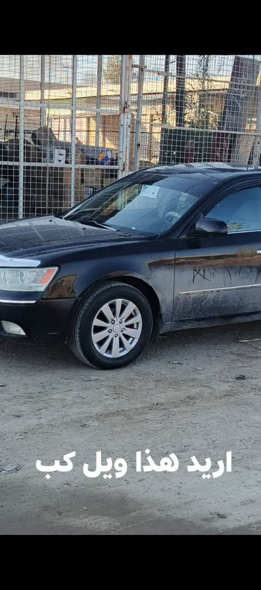 سلام عليكم حبايب عندي ويل عادي تخم جديد رايد عليه مراوس ويل كب الي حاب يراوس  يكلي ***********
