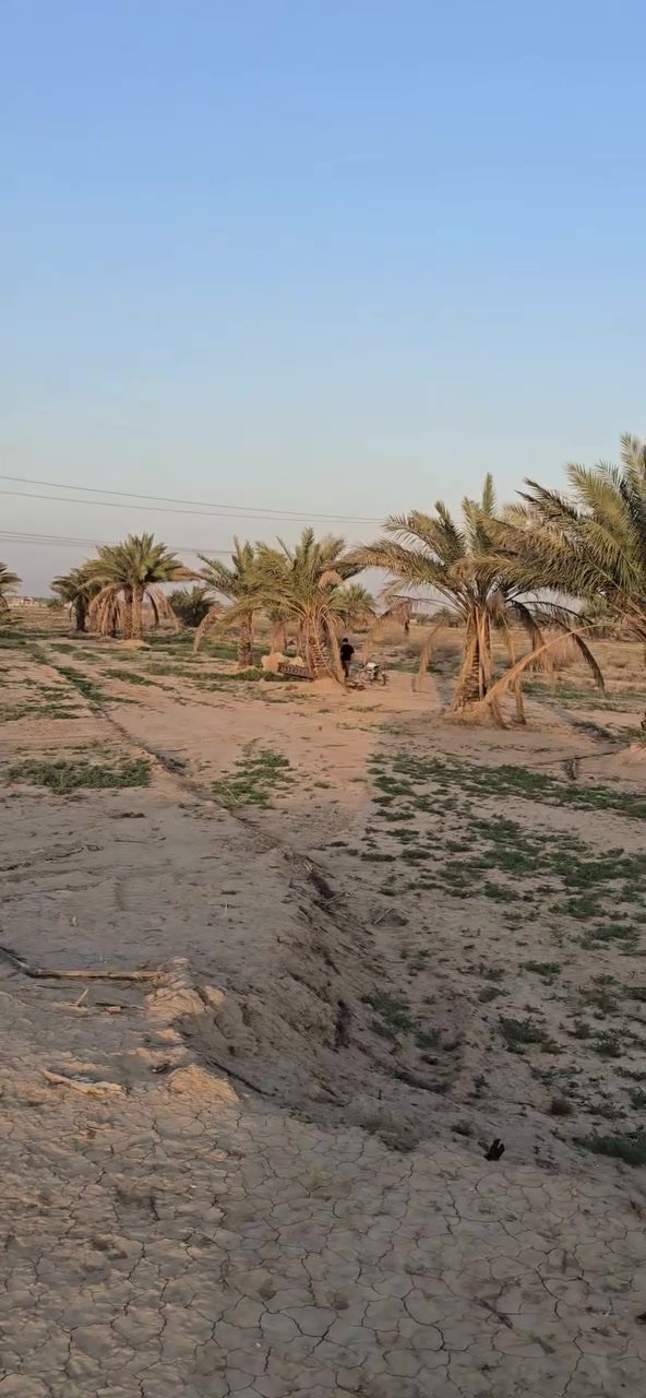 1 دونم للبيع 
طابو زراعي سند ٢٥
حله قرب سيطرة بزل حجي علي 
***********
