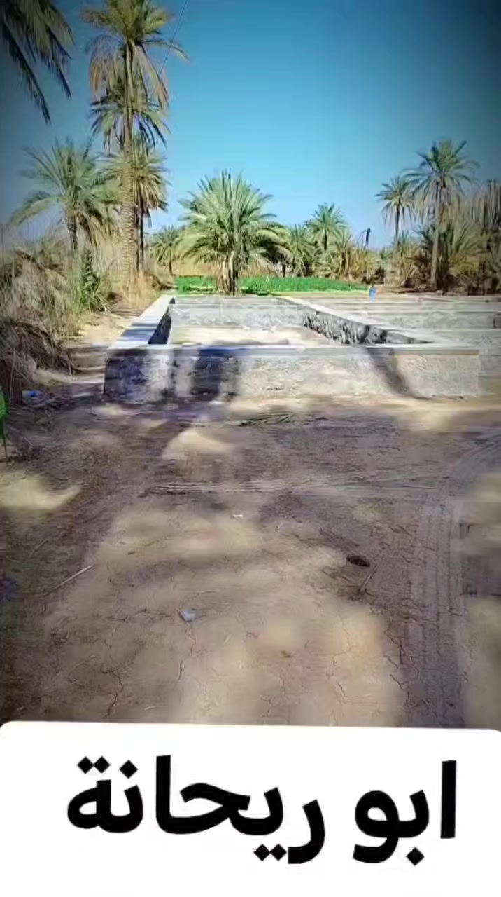 سلام عليكم جز من عملي أن شالله ينال اعجابكم 
شغلنه يكون بناء ائسيجه 
/منازل تطبيك سواقي وئرضيات /أساسات بيوتمساند بيوت 
لاتواصل رقم تالي او مراسله صفحه‏‪ ابو ريحانة *********** *********** ***********
