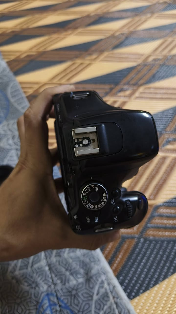 سلام عليكم للبيع كانون600d وعدسته 18.55 تشتغل بس منول فوكس يشكل وياهه كرب بطاريتين وشاحنه وجنطه سعره275 مكاني بغداد


**إذا كنت صاحب هذا الإعلان وتريد حذفه لأي سبب، رجاءا أرسل رسالة إلى الدعم الفني**