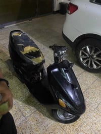 فراشه • فحل • ماشتغلت