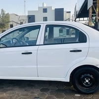 أفيو • ٢٠١٠ • النجف الاشرف