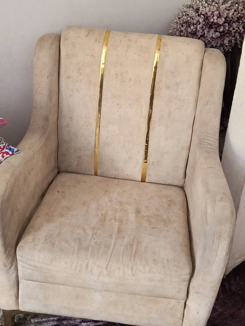 تخم للبيع ***********
