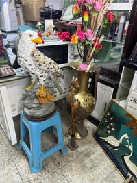 نسر ديكور • ٦٨×٤٥ • الديوانية