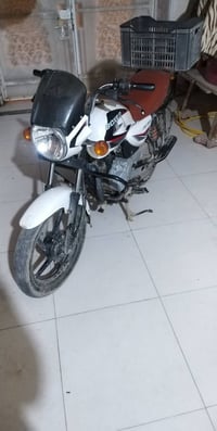 بوكسر للبيع 07735565621