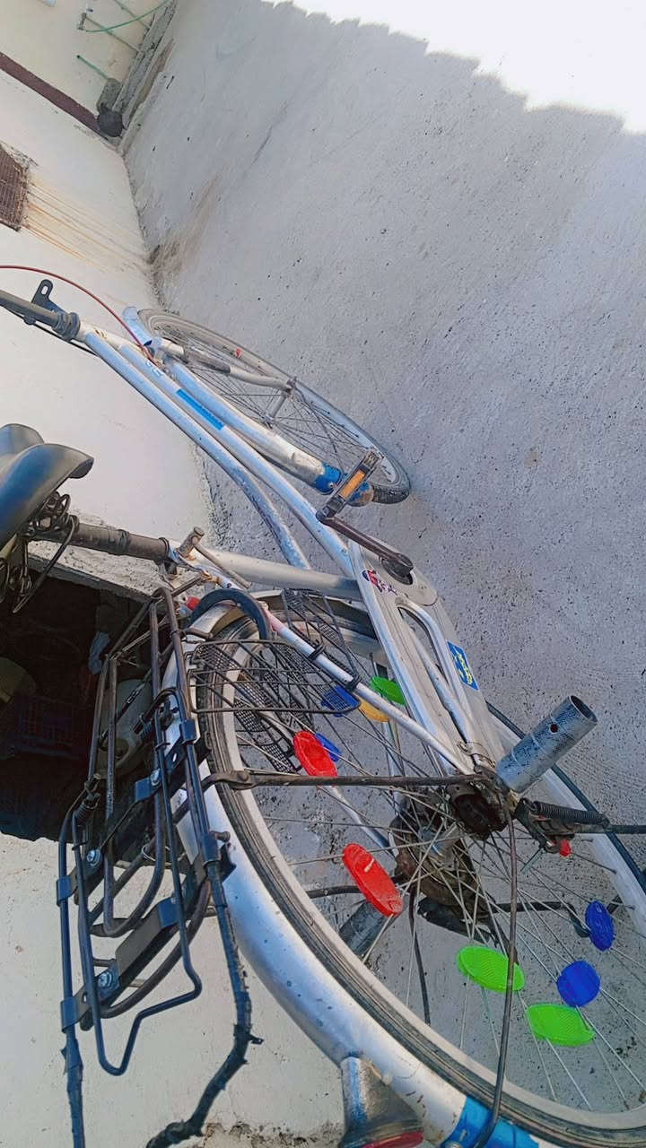 السلام عليكم عندي هذا البايسكل حجم 26لل بيع 80بًيَ مًجّآلَ لَطِيَبًيَنِ ***********
