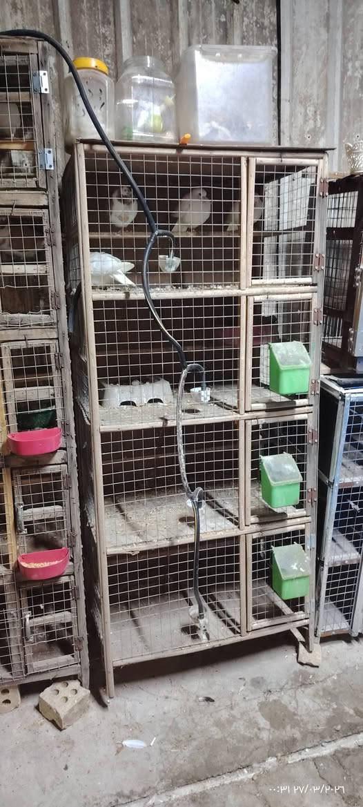 السلام عليكم متاح خانات للبيع ام ال 10 كامله طوافه وسله ب 35 وام الاربعه طوافه كامله ب20 قفل وام الثلاثه ب 10 قفل مكاني جكوك قرب البالات رقم 📱 ***********
