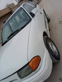 أسترا • لوحة أصلية • سليمانية