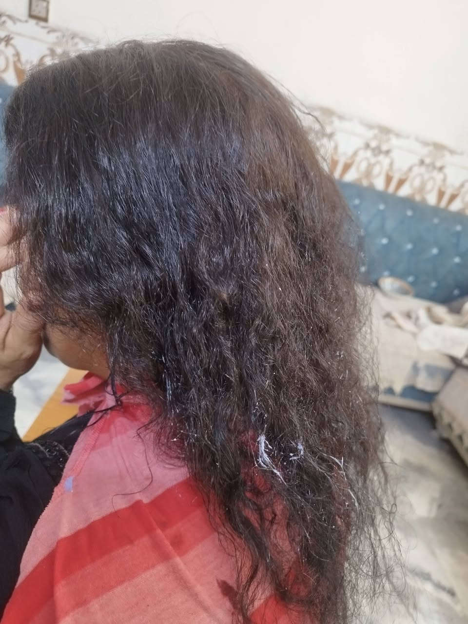 تسريح الحلوة اليوم 
الف عافية يروحي
كاطون رحمة للاستفسار الاتصال
***********

