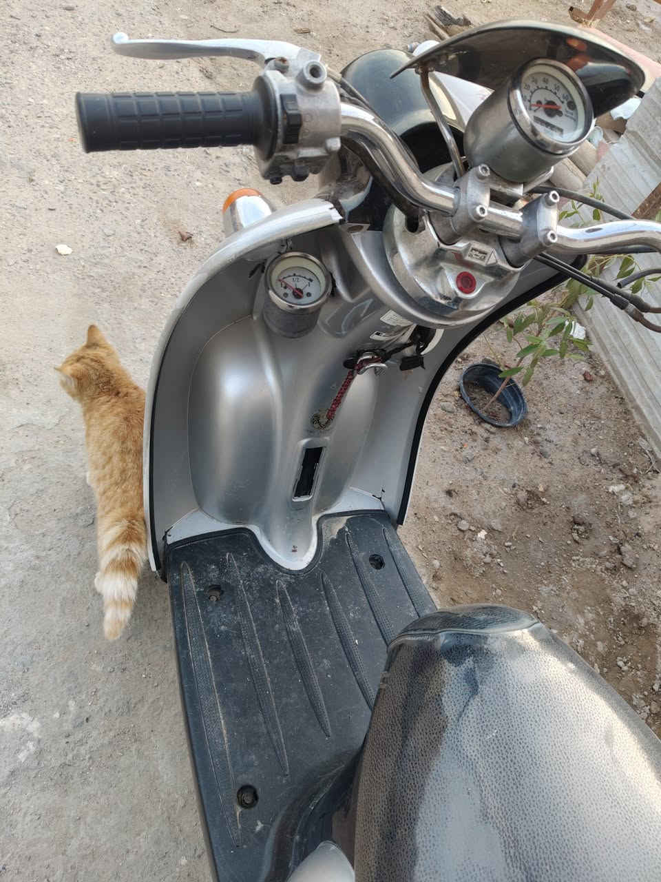 عبد لحليم فحل نضيفه وبلاد
اوراق وجاهزه دراجه ناعمه شلعه قوي
صوت اكسن مابيه السعر 375 
الشراي يخابر ***********
