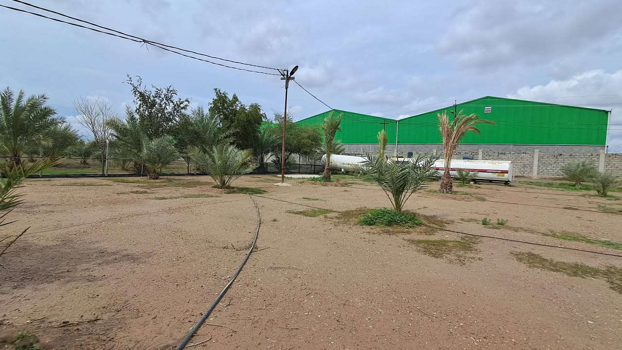 للبيع للبيع 
مزرعة   ١٥   دونم طابو زراعي تحويل مباشر   تقع على السريع الدولي بغداد  انبار مقابل جامعة الفلوجة  واجهة ١٠٠ متر مباشر على السريع.   المزرعة تحتوي على دار عدد ٢ مع استراحة كرفانات وخيمة كبيرة مجهزة بلكامل مع جلسة مثمنة سكيورتي  المزرعة فيها جميع الخدمات ماء وكهرباء مزروعة بكافة انواع النخيل الممتاز وكافة الفواكه  مسيجة بلكامل وتحتوي على اسطبل خيول مع محمية حيوانات . للاتصال والاستفسار

 ***********
 وات ساب 
***********
