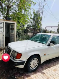 مارسيدس دب م • ٩١ • رقم بابل